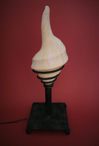 Rare Trumpet Seashell Lamp on Metal Patina Base